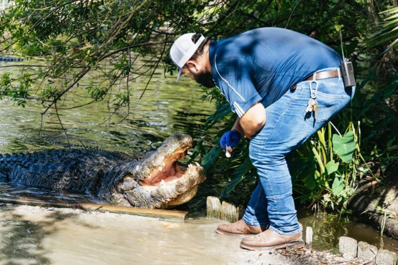 Orlando: Gatorland Skip-the-Line Ticket - The Sum Up