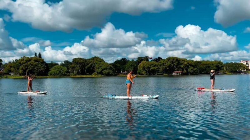 Orlando: Lake Conway Paddle Board or Kayak Tour - The Sandbar Stop: A Refreshing Break