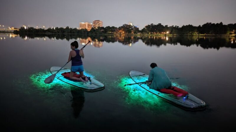 Orlando: LED Night Glow Clear Kayak or Paddleboard Tour - Who Will Love This Tour?