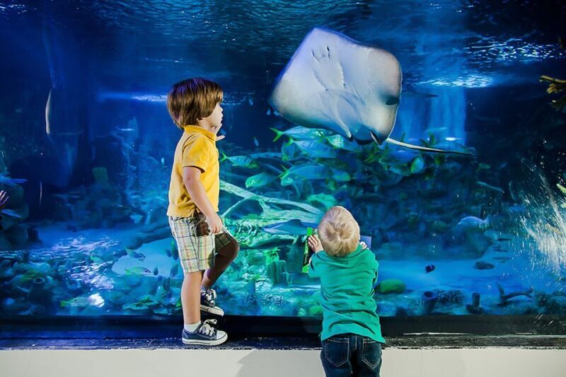 Orlando: Madame Tussauds and SEA LIFE Aquarium Combo Ticket - Key Points