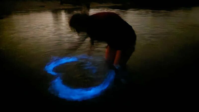 Orlando: Magic After Dark Bioluminescence Kayak Tour - Value and Practical Considerations