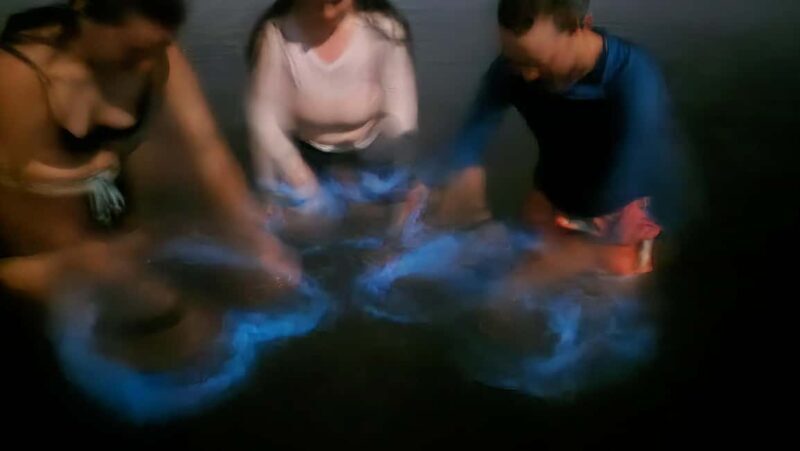 Orlando: Magic After Dark Bioluminescence Kayak Tour - The Sum Up