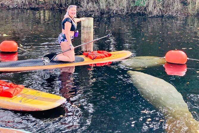 Orlando Manatee and Natural Spring Adventure Tour at Blue Springs - An In-Depth Look at the Blue Springs Adventure