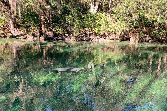 Orlando Manatee and Natural Spring Adventure Tour at Blue Springs - Who Is This Tour Best For?