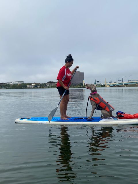 Orlando: Paddle with Pups in Paradise - Paddleboard or Kayak - Key Points