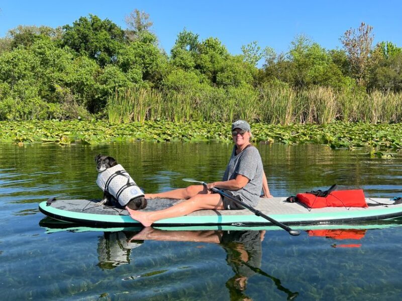 Orlando: Paddle with Pups in Paradise - Paddleboard or Kayak - Final thoughts