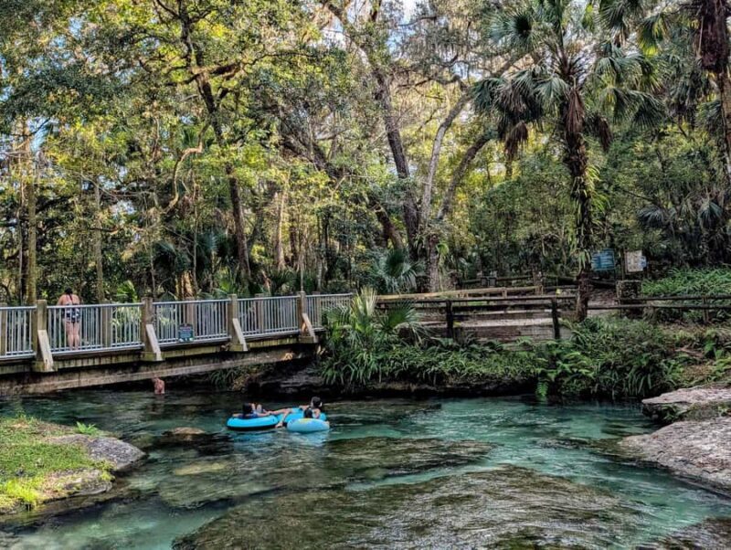 Orlando: Rock Springs Tubing & Apopka Wildlife Trail Tour - Key Points