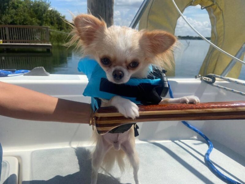 Orlando: Sailing Tour with Certified Sailing Instructor - Who Should Consider This Tour?