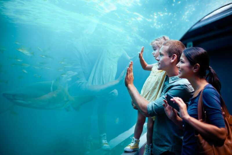 Orlando: SEA LIFE Orlando Aquarium - Final Thoughts