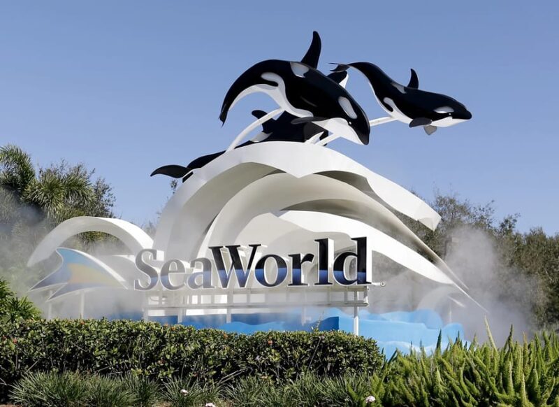 Orlando: SeaWorld Shuttle Service - An In-Depth Look at the Orlando SeaWorld Shuttle Service