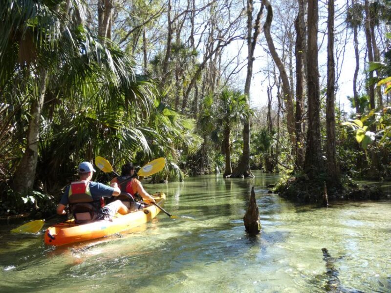 Orlando: Small Group Rock Springs Run Kayak Tour - Key Points