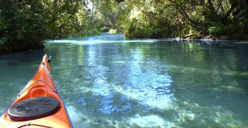 Orlando: Small Group Rock Springs Run Kayak Tour - A Deep Dive into the Rock Springs Run Kayak Tour