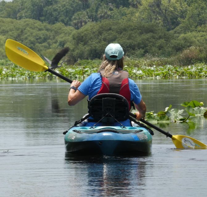 Orlando: Small Group Scenic Wekiva River Kayak Tour - The Experience of the Guides and the Safety Focus