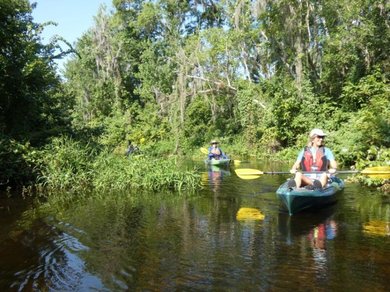 Orlando: Small Group Scenic Wekiva River Kayak Tour - Is It Right for You?