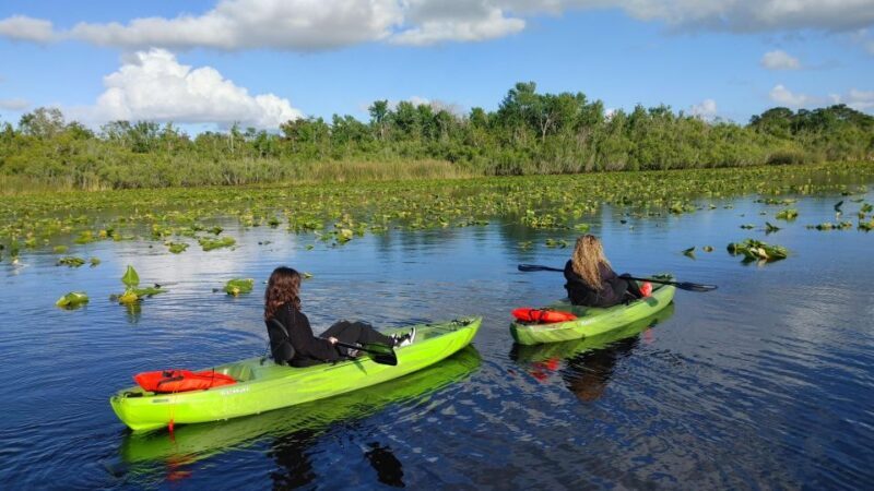 Orlando: Sunset guided kayaking tour - An In-Depth Look at the Orlando Sunset Guided Kayaking Tour