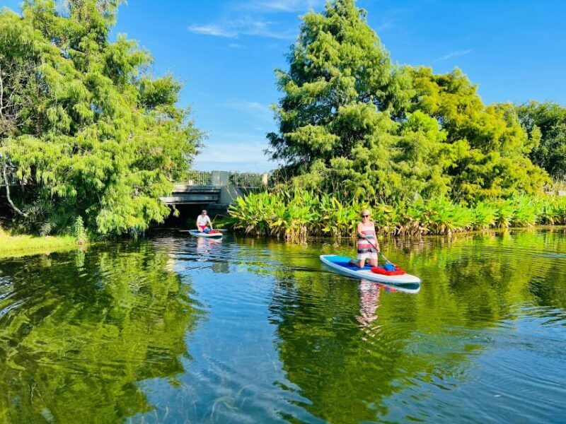 Orlando: Urban Clear Kayak or Paddleboard in Paradise - The Sum Up