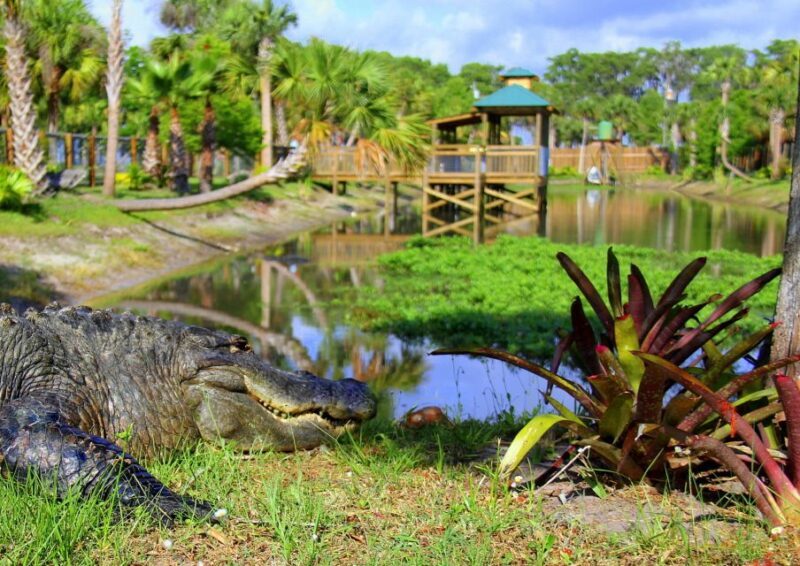 Orlando: Wild Florida Airboat Ride with Transport & Lunch - Final Thoughts