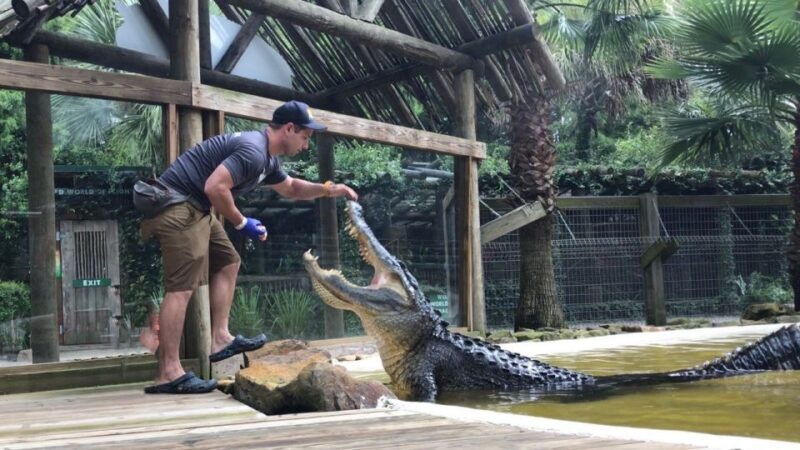 Orlando: Wild Florida Park Ticket and Gator Shows - What to Expect at Wild Florida