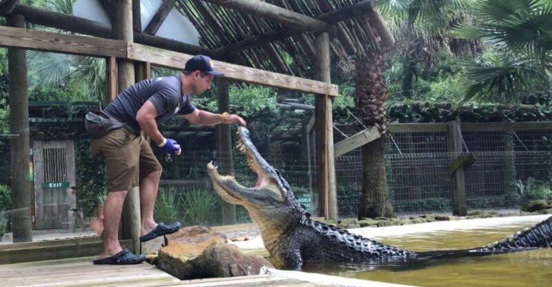 Orlando: Wild Florida Park Ticket and Gator Shows - Key Points