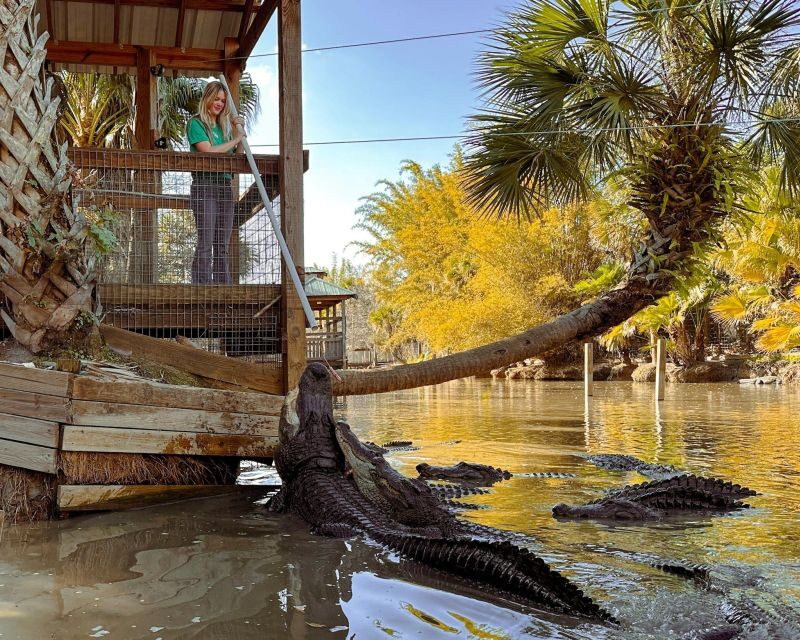 Orlando: Wild Florida Park Ticket and Gator Shows - Final Thoughts