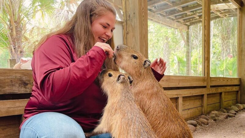 Orlando: Wild Florida Park Ticket and Gator Shows - FAQ