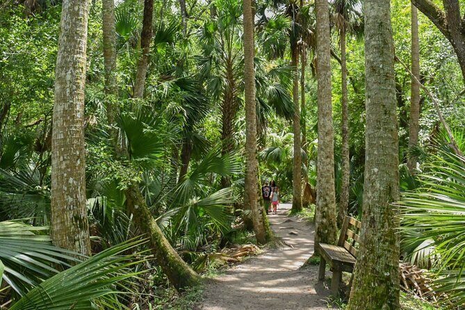 Orlando Wildlife Safari Hike with a Wildlife Photographer - In The Sum Up