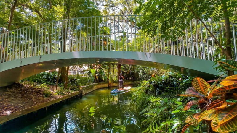 Orlando: Winter Park Paddle Adventure - Exploring the Winter Park Chain of Lakes