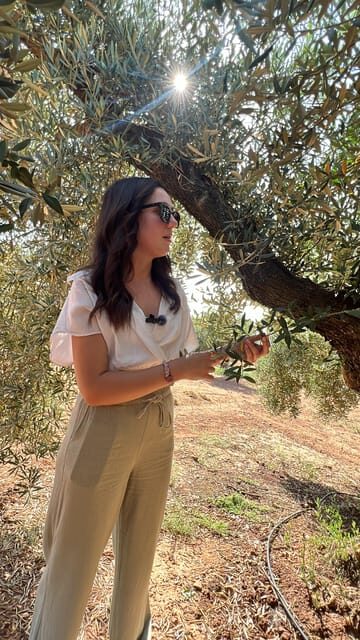 "Oro Bailén": Tour of Oro Bailen Grove + Mill + Tasting - Key Points