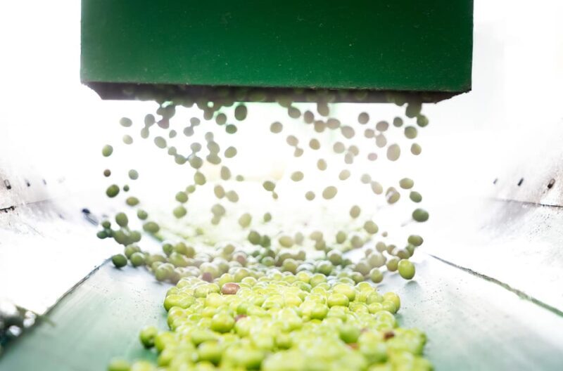 "Oro Bailén": Tour of Oro Bailen Grove + Mill + Tasting - Frequently Asked Questions