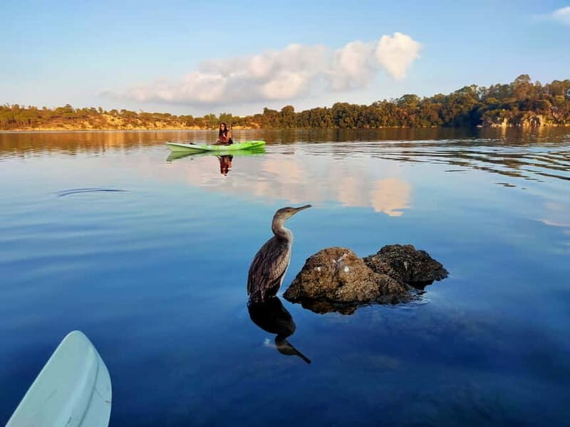 Orosei: Guided Kayak Tour of the Biderosa Oasis at Sunset - Key Points