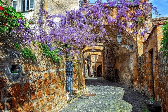 Orvieto and Civita di Bagnoregio from Civitavecchia - Private Tour - The Sum Up: Who Will Love This Tour?