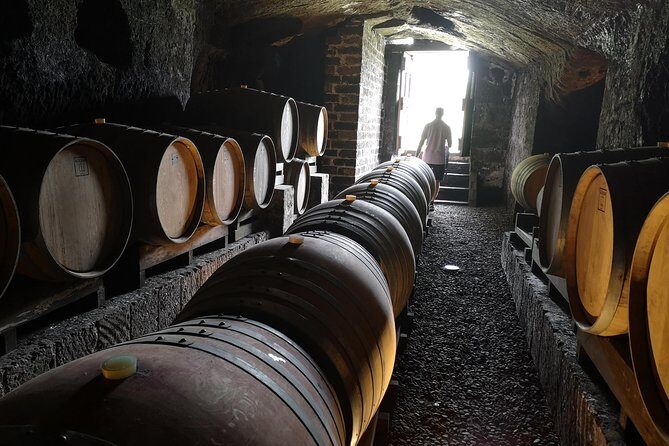 Orvieto by Evening: Small Group e-Bike tour with Dinner - FAQs