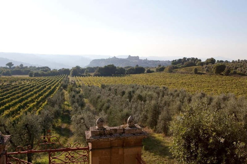 Orvieto: Tour and wine tasting at Tenuta Le Velette - The Wines: Four Flavors of Umbrian Excellence