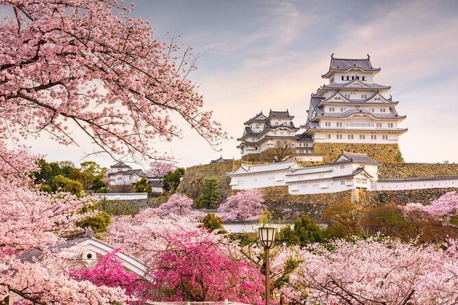 Osaka 1-Day Private Tour - Osaka Castle, Shinsekai, Dotonbori - Who Would Love This Tour?