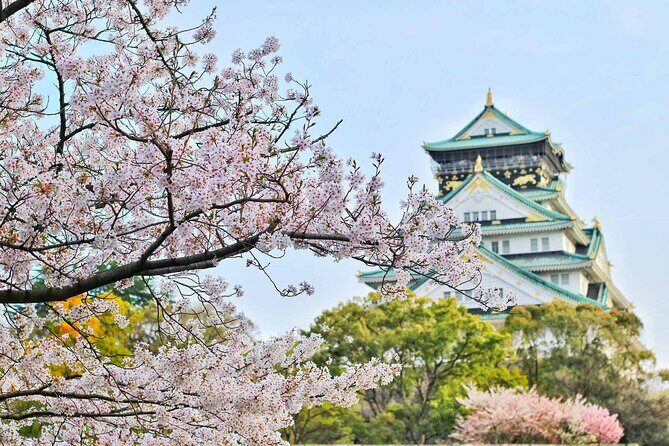 Osaka 6 hr Private Tour: English Speaking Driver Only, No Guide - Who Is This Tour Best For?