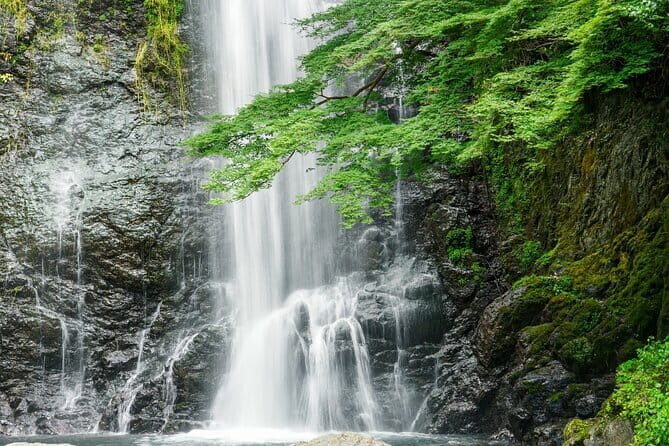 Osaka 8 Hours Tour Explore City and Minoh Falls - What’s Included and What’s Not