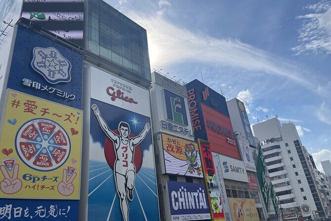 Osaka and Kyoto with National licensed guide by Private Car - The Value of a Private Car Tour in Kansai