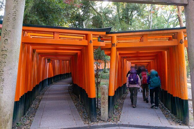 Osaka and Kyoto with National licensed guide by Private Car - Who Is This Tour Best For?