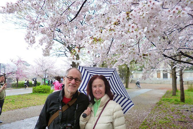 Osaka Castle and Sumiyoshi Taisha Shrine Private Half-Day Tour - The Sum Up