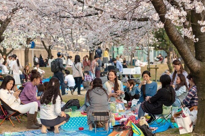 Osaka Cherry Blossom Tour with a Local: 100% Personalized Private - What’s Included and What’s Not