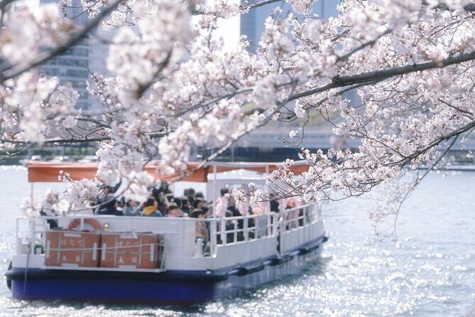 Osaka Cherry Blossom Tour with a Local: 100% Personalized Private - Who Should Consider This Tour?