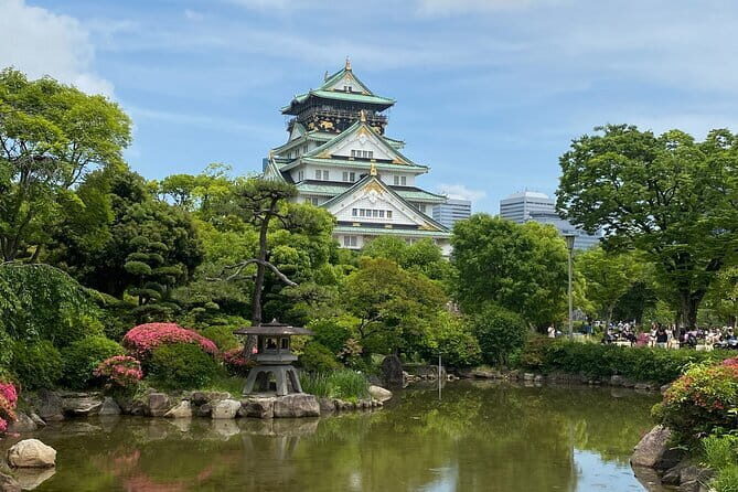 Osaka" Hidden" Private Local Street Food Tour - Who Will Love This Tour?