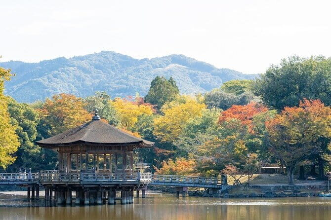 Osaka & Kyoto & Nara Top Hightlights English Speaking Tour - The Sum Up