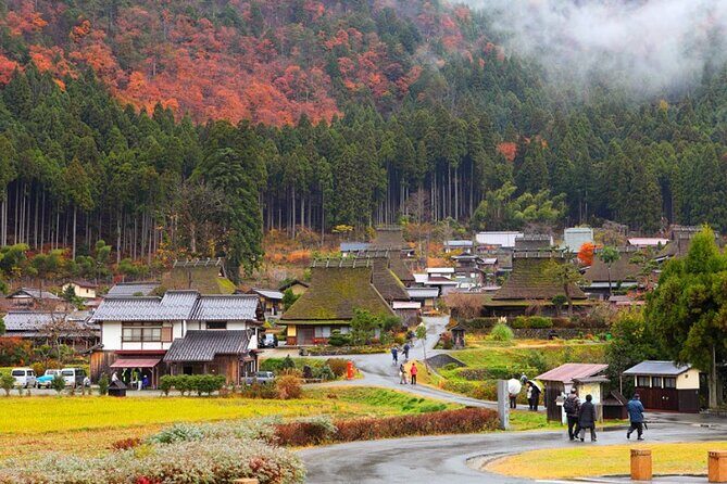 Osaka Private Charter Tour Miyama & Amanohashidate & Uji Routes - The Full Experience: What to Expect on This Private Car Tour
