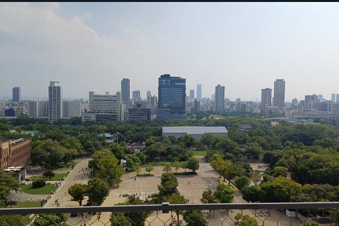 Osaka Private Tour with Guide in Spanish - Exploring Osaka’s Charm: A Detailed Look at the Private Guided Tour in Spanish