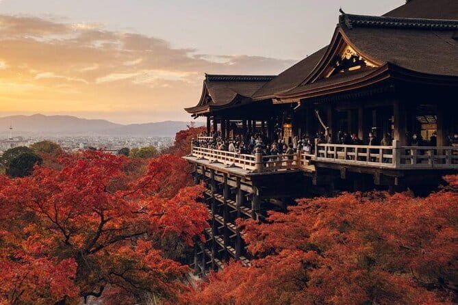 Osaka Spring Daytime (Cherry Blossom) Food Tour - Value for Money