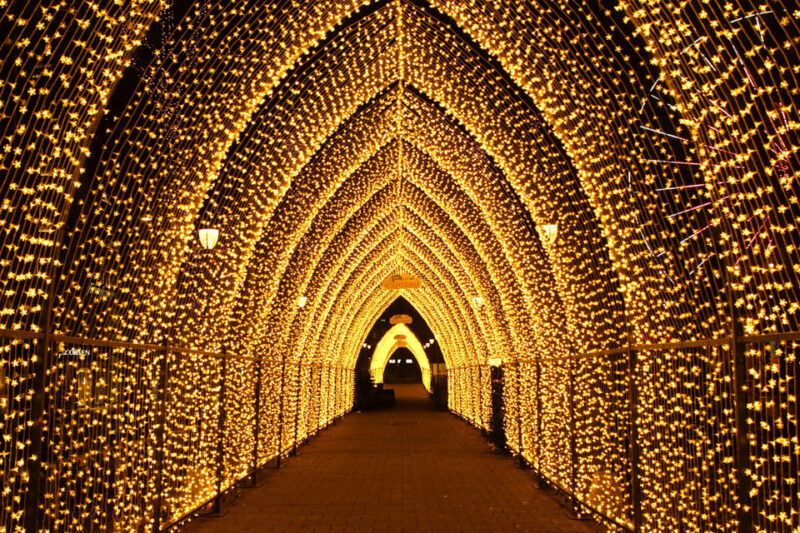 Oslo: 2-hour Christmas Private Walking Tour - Key Points