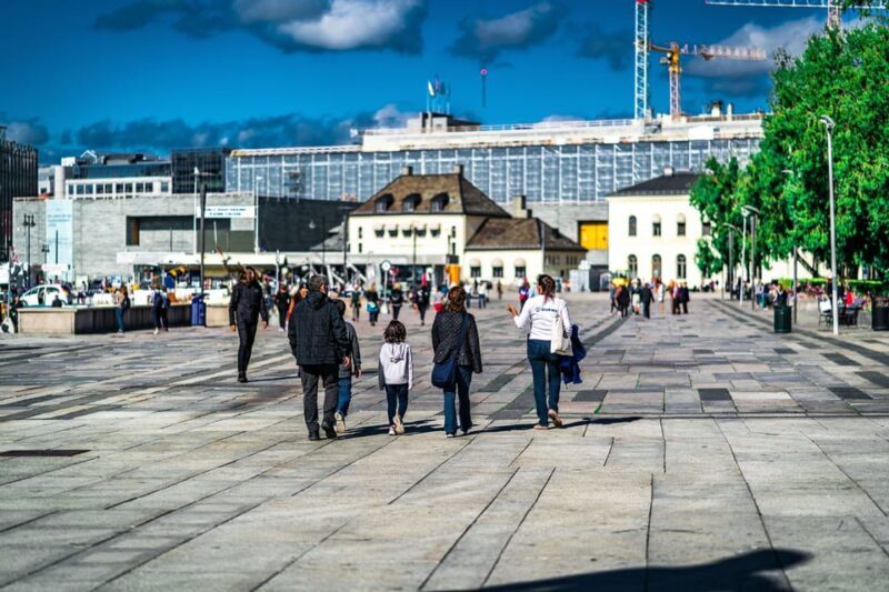 Oslo: 3-hour Highlights & Vigeland Park Private Walking Tour - Accessibility and Group Size