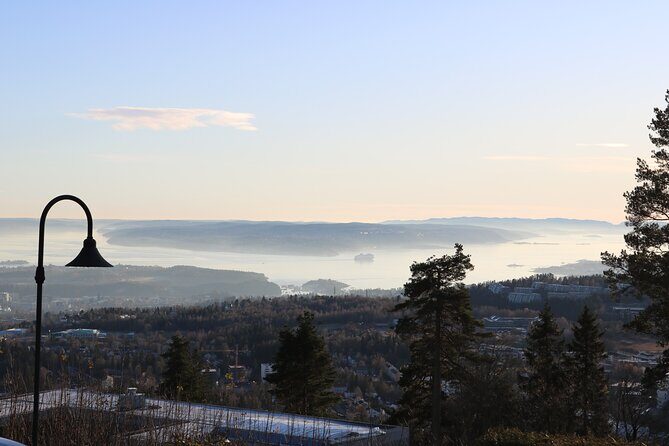 Oslo City Highlights with Fjord Cruise - Final Thoughts