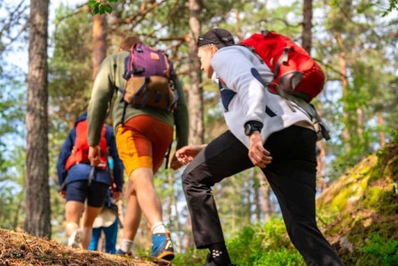 Oslo: Forest Hike with Guide & Husky - A Deep Dive into the Forest Hike Experience